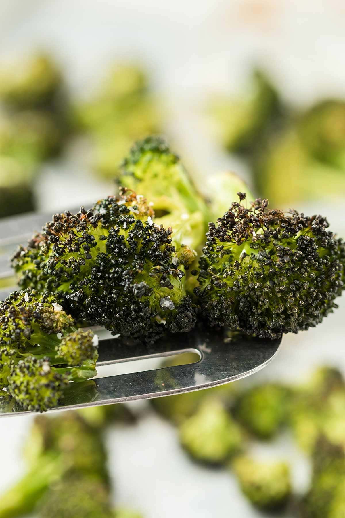 Close up of roasted broccoli on a silver spatula.